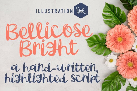Bellicose Font Review: A Playful Script for Bold Brands
