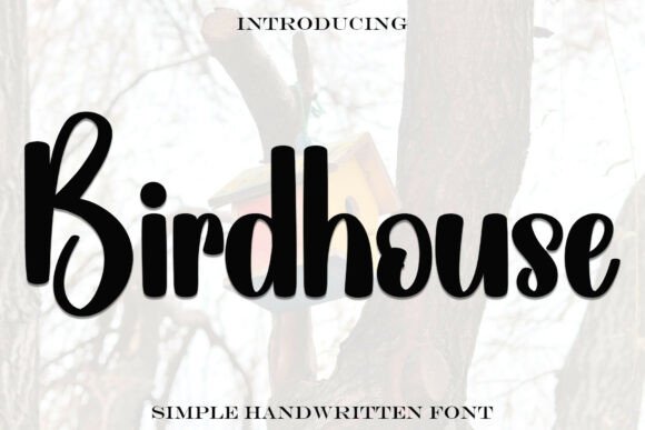 Birdhouse Font: A Web Designer’s Review